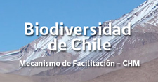 imagen foto_portada1.jpg