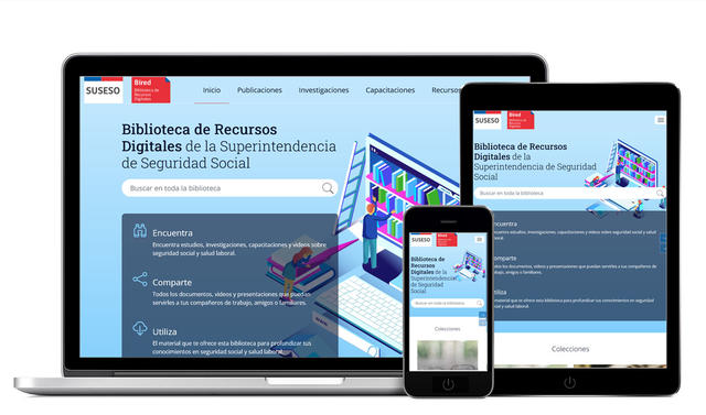 Vistas responsive de Bired