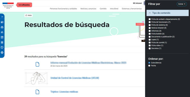 Además de la búsqueda por términos, se puede filtrar por los tipos de contenido de los resultados.